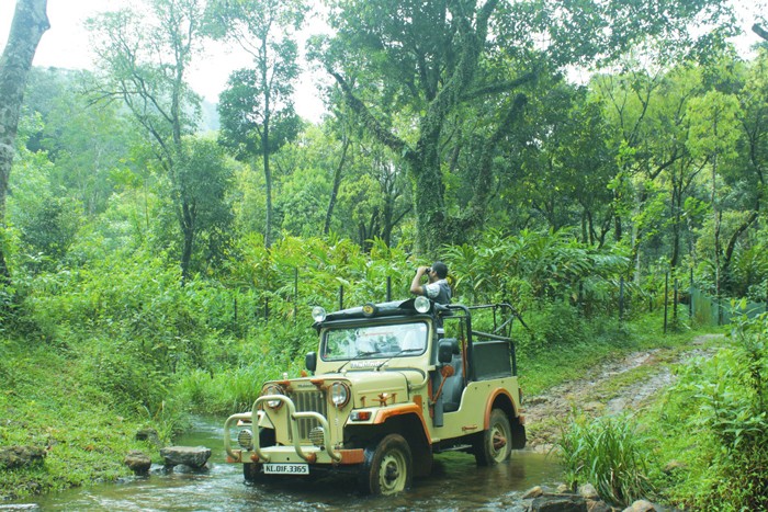 Jeep Safaris: Navigating the Terrain